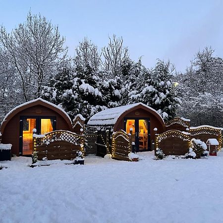 Conifer Cabins Fort William Zewnętrze zdjęcie