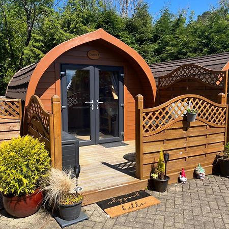 Conifer Cabins Fort William Zewnętrze zdjęcie