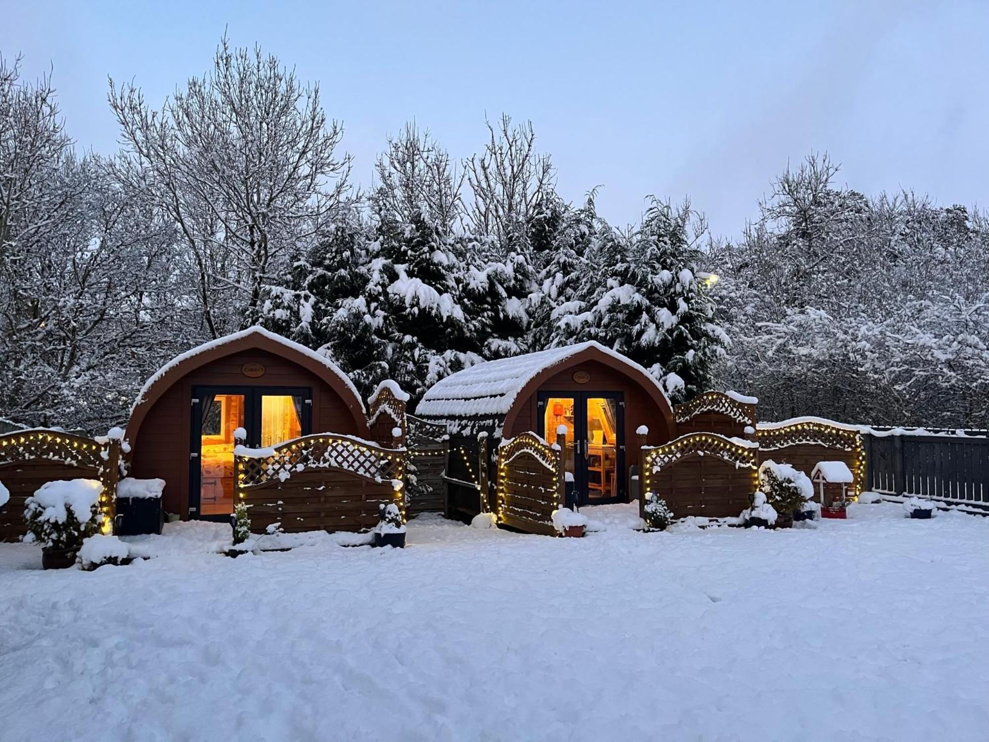 Conifer Cabins Fort William Zewnętrze zdjęcie